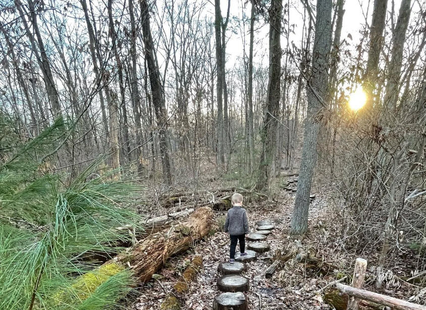 Herrontown Woods, United States